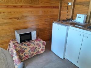 a small kitchen with a microwave and a refrigerator at Studio LAVANDES in Lamentin