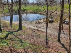 a park with a bench next to a pond at 5 person holiday home in Aabybro in Åbybro