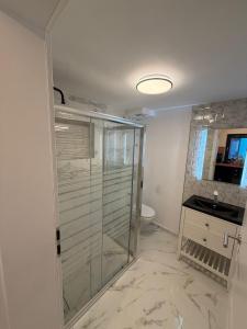 a bathroom with a shower with a sink and a toilet at Casa Criss in Sinaia +41 photos