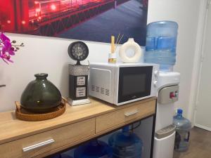 a microwave sitting on top of a counter at Hostale Blas Cabrera Madrid in Madrid