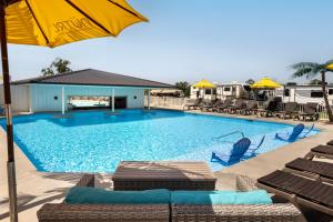 a large swimming pool with chairs and an umbrella at Coconuts RV Resort in Gravois Mills