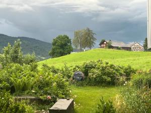 a house on top of a hill with a green field at Urlaub in Alberschwende in Alberschwende