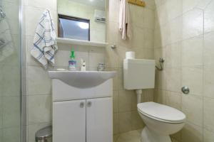 a small bathroom with a toilet and a sink at House Vila Ana in Lopar +43 photos