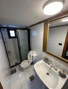 a bathroom with a sink and a toilet and a mirror at Mon Refuge 120 in Bcharré