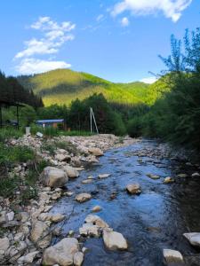 a river with rocks and trees and a mountain at МріяТИ in Verkhovyna