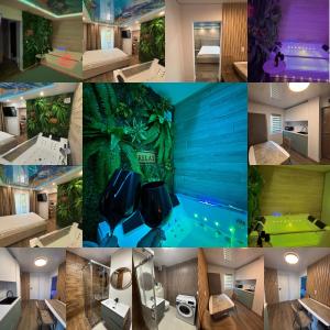 a collage of photos of a hotel room at D&D Studio in Petrila