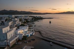 an aerial view of a town next to the water at Pera Milos villa in Pollonia