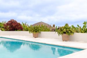 a man sitting on a wall next to a swimming pool at Finca del Carmen by Villas Rivero in Santa Maria de Guia de Gran Canaria +26 photos