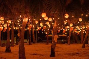 a group of trees with lit up paper lanterns at Maako Retreats in Milandu
