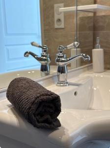 a towel sitting on a sink in a bathroom at T2 lumineux et tout équipé centre Annonay in Annonay +17 photos
