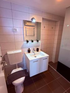 a bathroom with a toilet and a sink and a mirror at Downtown Apartments Pula in Pula +99 photos