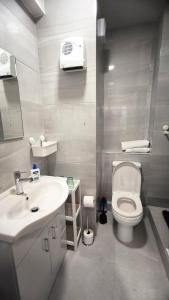 a bathroom with a sink and a toilet at Crandford in Dublin