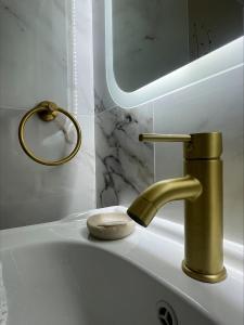 a bathroom sink with a gold faucet and a soap dish at Studio paisible avec jardin in Rémire-Camp