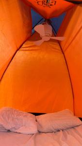 an inside of a tent with a bed in it at StNicholas Ranch Corfu Wild Camping 2 in Benitses