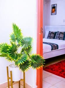 a bedroom with a potted plant and a bed at Homes By Vee in Eldoret