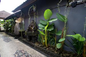 バルナ ゲスト ハウスにある庭