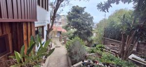 a garden with a sidewalk next to a building at El gran Jacarandá in Viña del Mar