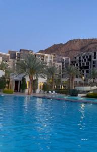 a large swimming pool with palm trees and buildings at aura alraha village in Aqaba