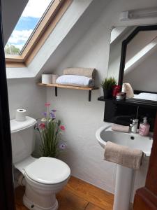 a bathroom with a toilet and a sink and a mirror at THE FARMHOUSE Room 2 in Balcunnin