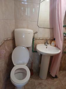 a bathroom with a toilet and a sink at Savnik moutain appartement in Šavnik