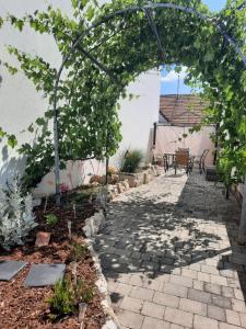 a garden with an arbor and a patio at Ferienhaus Schmidlhof in Oggau +12 photos