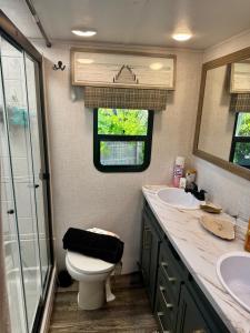 a bathroom with a toilet and a sink and a mirror at EL Camper KW in Key West