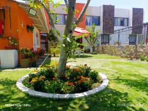 a tree in a flower bed in a yard at Posada del Jardín in Huasca de Ocampo