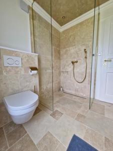 a bathroom with a toilet and a glass shower at Seventh Heaven Village Glamping in Rogašovci +37 photos