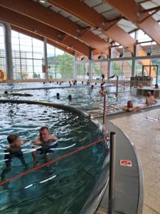 a group of people swimming in a swimming pool at Srub v lese in Hrabŭvka