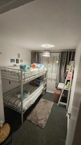 a small room with two bunk beds and a ladder at Netty's Retreat in Hemsby