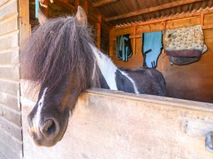a horse sticking its head over a wall at Gables Cottage in Market Rasen