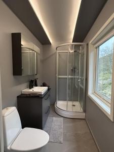 a bathroom with a shower and a toilet and a sink at Nordlys Skaland in Senja +35 photos