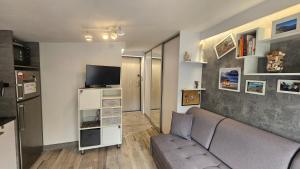 a living room with a couch and a television at Studio w kamieniczce in Konstantynów Łódzki