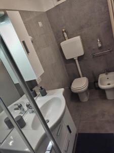 a bathroom with a white sink and a toilet at La casetta di Elena - Sondrio Valtellina in Sondrio