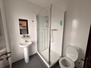 a bathroom with a shower and a toilet and a sink at Coopers Lane in Dublin