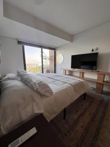 a bedroom with a large bed and a flat screen tv at Visa Trip Cozy Stay in Guadalajara +15 photos