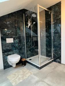 a bathroom with a shower and a toilet at Ferienwohnung Emerson in Edemissen