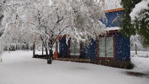a blue house in the snow with a tree at Cabaña Azul Recinto in Pinto