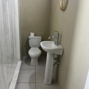 a bathroom with a toilet and a sink at Manor Villas in Kingston