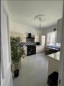 a kitchen with a white tiled floor with a plant at Dundee Beds in Dundee