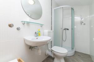 a bathroom with a toilet sink and a shower at Seaside secluded apartments Cove Virak, Hvar - 12321 in Gdinj