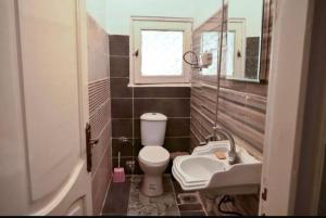 a small bathroom with a toilet and a sink at Bianki vip villa in Alexandria +17 photos