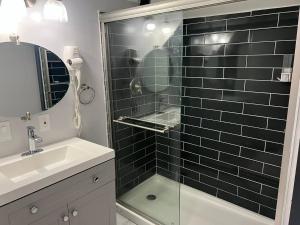 a bathroom with a shower with a sink and a mirror at Stay with Jay - Mapa Suite Cleveland in Cleveland