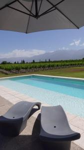 a view of a swimming pool with an umbrella and chairs at Dobe Lodge in Vista Flores