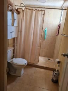 a bathroom with a shower curtain and a toilet at Full Apartment Teotihuacan Centro in San Juan Teotihuacán