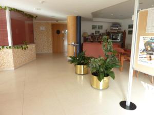 un vestíbulo con dos macetas en el suelo en Hostal Residencia Batuecas, en Salamanca