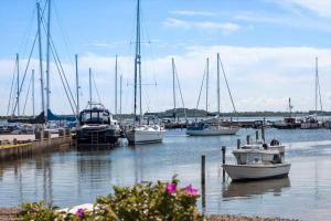 a group of boats are docked in a harbor at 20333-Samso-Havvejen-61 in Sælvig