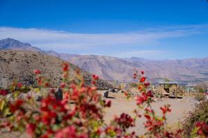 a view of a mountain with red flowers in the foreground at Cabaña Los Cactus en Mamalluca in El Durazno
