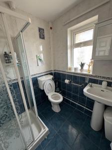 a bathroom with a toilet and a sink and a shower at Erris house in Belmullet