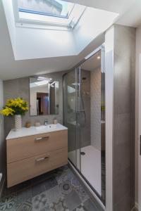 a bathroom with a shower and a sink and a mirror at Appartement 9 Place d'Alliance in Nancy